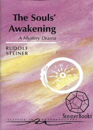 Cover of the book The Souls' Awakening: Soul & Spiritual Events in Dramatic Scenes by Rudolf Steiner