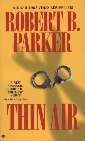 Cover of the book Thin Air by Bryan Burrough