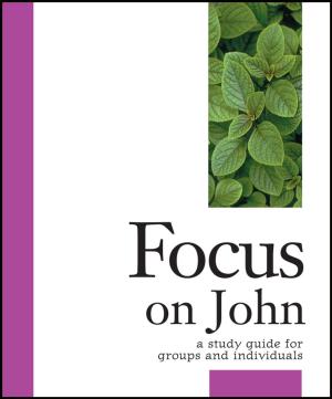 Cover of the book Focus on John by Scott Stoner