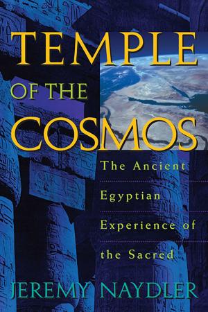 Cover of the book Temple of the Cosmos by Jutta Besta-Hecker