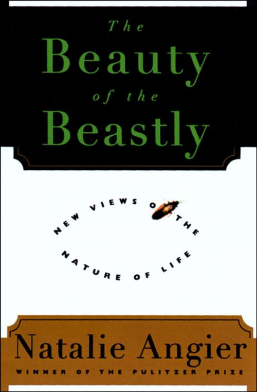 Cover of the book The Beauty of the Beastly by Natalie Angier, Houghton Mifflin Harcourt