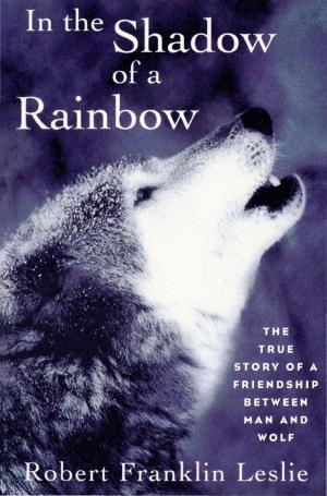 Cover of the book In the Shadow of a Rainbow: The True Story of a Friendship Between Man and Wolf by Stephen Jay Gould
