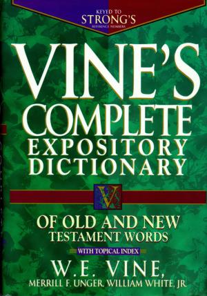 bigCover of the book Vine's Complete Expository Dictionary of Old and New Testament Words by 