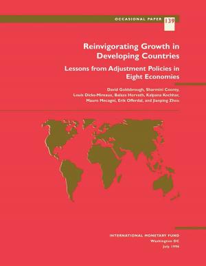 Cover of the book Reinvigorating Growth in Developing Countries: Lessons from Adjustment Policies in Eight Economies by Harm Mr. Zebregs