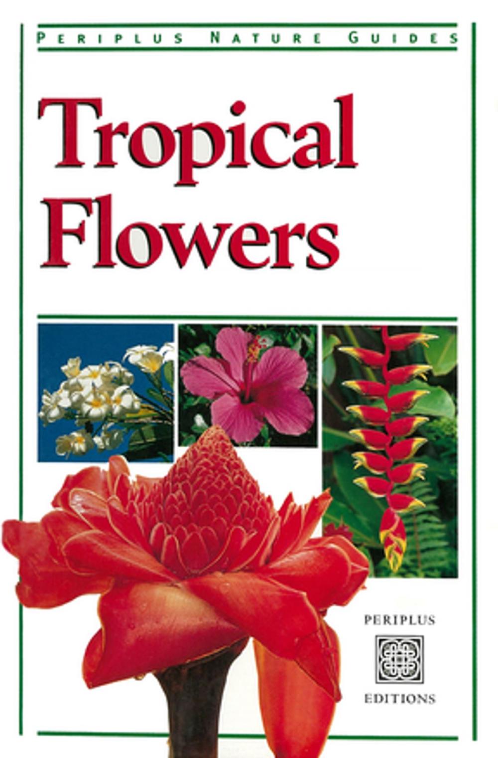 Big bigCover of Tropical Flowers