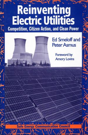 Cover of the book Reinventing Electric Utilities by Biliana Cicin-Sain, Robert Knecht