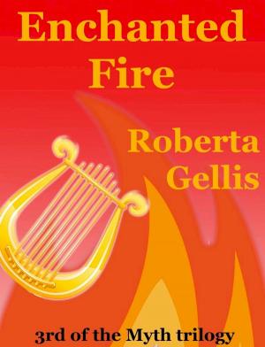 Book cover of Enchanted Fire