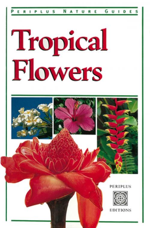 Cover of the book Tropical Flowers by William Warren, Tuttle Publishing