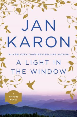 Cover of the book A Light in the Window by Krista Davis