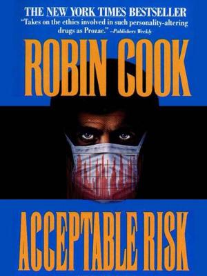 Cover of the book Acceptable Risk by Christina Perozzi, Hallie Beaune