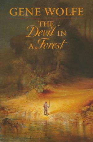 Cover of the book The Devil In A Forest by Steven Brust