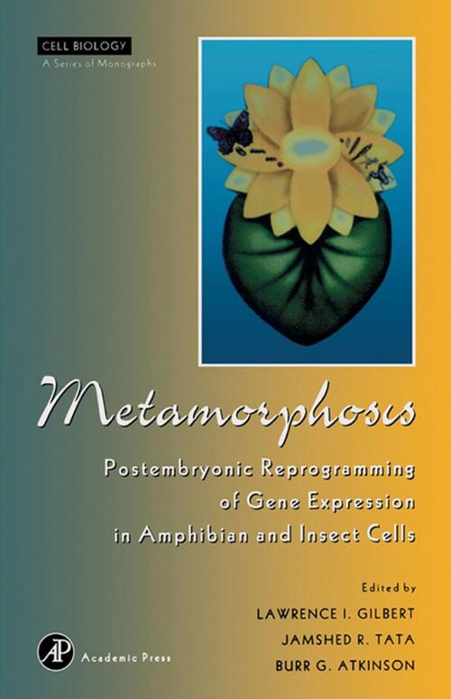 Cover of the book Metamorphosis by Lawrence I. Gilbert, Jamshed R. Tata, Burr G. Atkinson, Elsevier Science