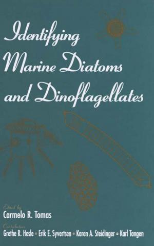 Book cover of Identifying Marine Diatoms and Dinoflagellates