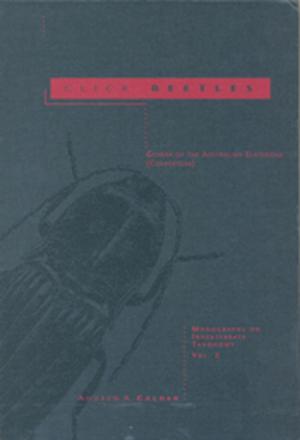 Cover of the book Click Beetles by John Garratt, David Angus, Paul Holper