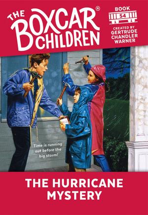 bigCover of the book The Hurricane Mystery by 