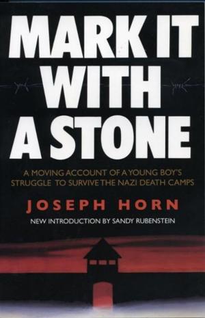 Cover of the book Mark It with a Stone: A Moving Account of a Young Boy's Struggle to Survive the Nazi Death Camps by Bruce Mowday, Jim Donahue