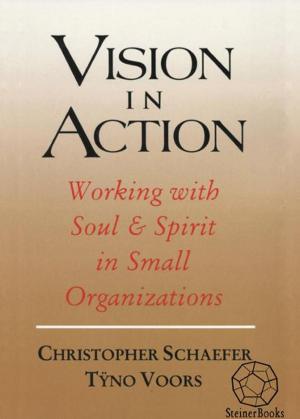 Cover of the book Vision in Action: Working with Soul & Spirit in Small Organizations by Shannon Honeybloom, Skip Hunt