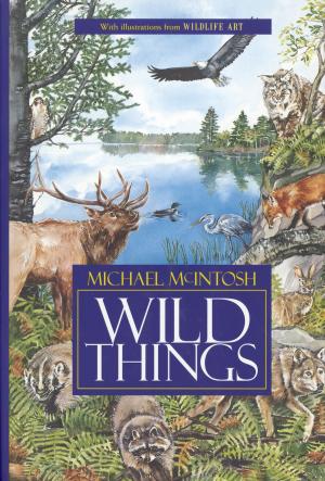 Cover of the book Wild Things by Fran Hodgkins