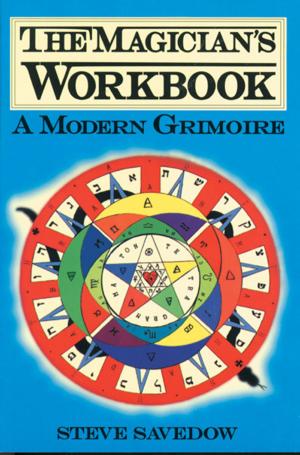 bigCover of the book The Magician's Workbook: A Modern Grimoire by 