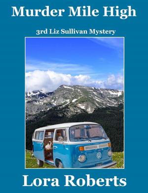 Cover of the book Murder Mile High by Marcy Stewart