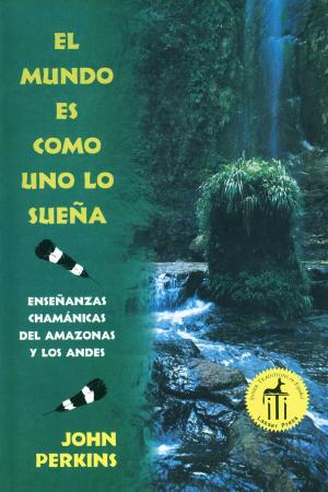 Cover of the book El mundo es como uno lo sueña by Diane Stein