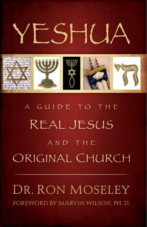 Cover of the book Yeshua by Dr. Jeffrey L. Seif