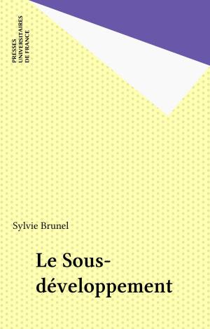 Cover of the book Le Sous-développement by Philippe Berthaut