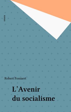 Cover of the book L'Avenir du socialisme by Colette Chiland