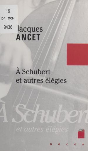 Cover of the book À Schubert et autres élégies by Terry W. Gintz