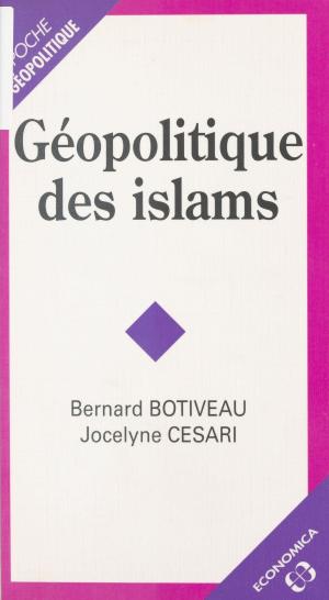 Cover of the book Géopolitique des islams by Erik Eppler