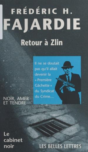Cover of the book Retour à Zlin by Raymond Jean