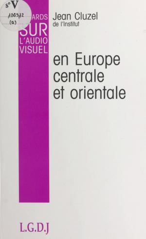 bigCover of the book Regards sur l'audiovisuel (9) : L'audiovisuel en Europe centrale et orientale by 