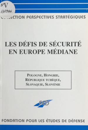 Book cover of Les défis de sécurité en Europe médiane