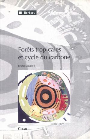 Cover of the book Forêts tropicales et cycle du carbone by Jurgis Sapijanskas, Camille Guellier, Antonio Bispo, Hélène Soubelet, Claire Chenu