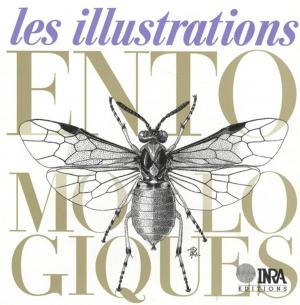 Book cover of Les illustrations entomologiques