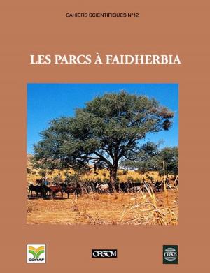 Cover of the book Les parcs à Faidherbia by Daniel Terrasson, Martine Berlan-Darqué