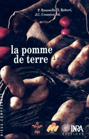 Cover of the book La pomme de terre by Ludovic Temple, Moïse Kwa