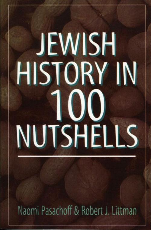 Cover of the book Jewish History in 100 Nutshells by Naomi Pasachoff, Robert J. Littman, Jason Aronson, Inc.