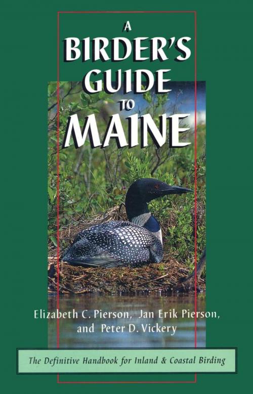 Cover of the book A Birder's Guide to Maine by Elizabeth Pierson, Down East Books