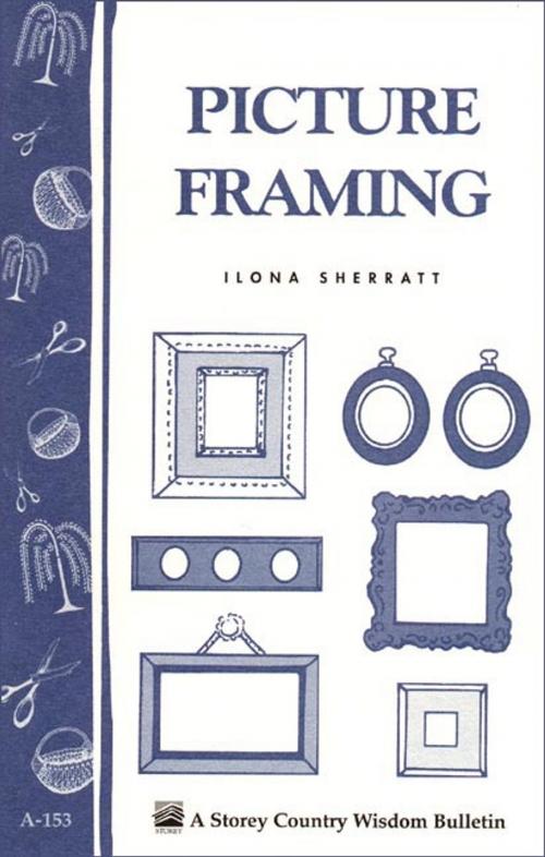 Cover of the book Picture Framing by Ilona Sherratt, Storey Publishing, LLC