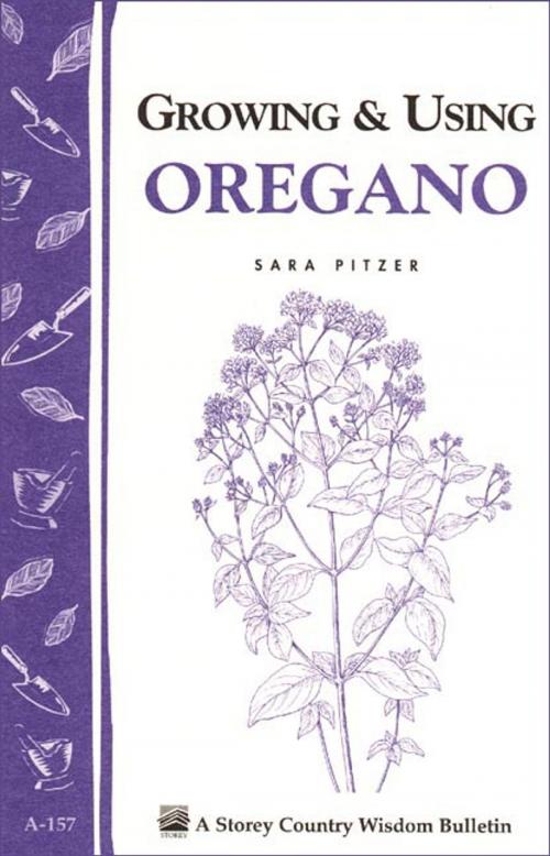 Cover of the book Growing & Using Oregano by Sara Pitzer, Storey Publishing, LLC