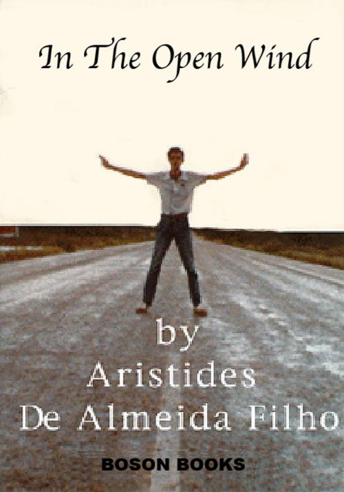 Cover of the book In the Open Wind by Aristides de Almeida Filho, Bitingduck Press