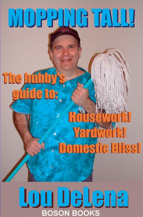 Cover of the book Mopping Tall!: The Hubby's Guide to Housework and Other Dangerous Jobs by Lou  DeLena, Bitingduck Press