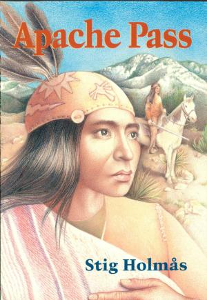 Book cover of Apache Pass