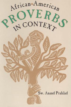 Cover of the book African-American Proverbs in Context by David E. Feldman