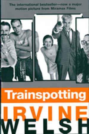 Cover of the book Trainspotting by Miriam Horn