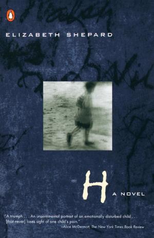 Cover of the book H by Carrie Fountain