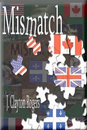 bigCover of the book Mismatch by 