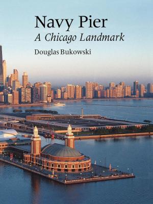 bigCover of the book Navy Pier by 