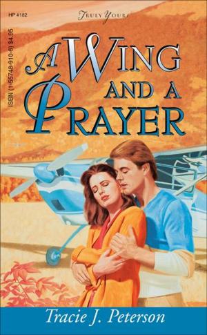 Book cover of A Wing And A Prayer